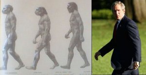 evolution.jpg