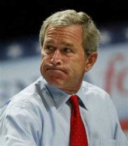 bush_inaug_scowl.jpg