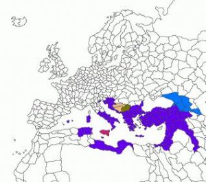 dominii diretti ed indiretti di Bisanzio.jpg