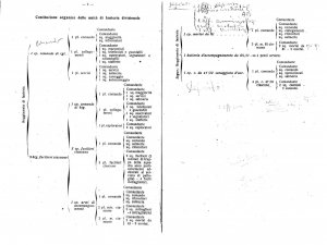 organicifanteria02.jpg