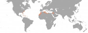EU3_MAP_MOR_1525.1.1_2.jpg