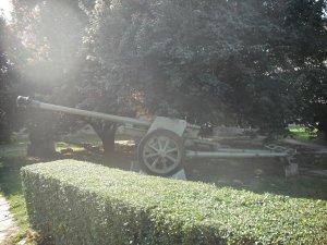 DSCF0020.jpg