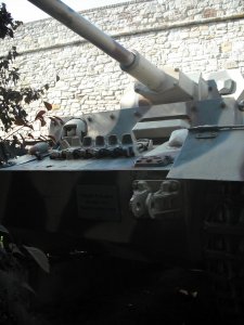 DSCF0011.JPG
