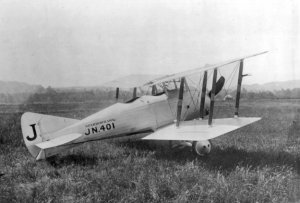 Gloster_Sparrowhawk_JN.jpg