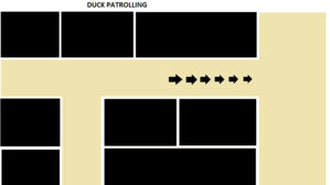 duck patrolling.png