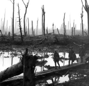 Chateau_Wood_Ypres_1917.jpg