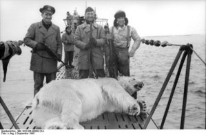 Bundesarchiv_Bild_101I-506-B0098-21A,_Eismeer,_Eisbärfang.jpg