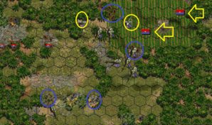 t4.JPG