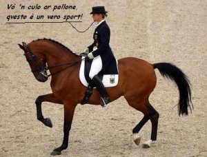 dressage-400.jpg