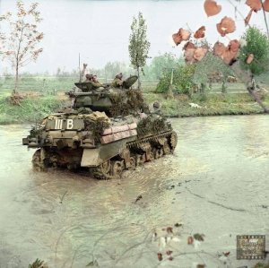 witw t59 sherman.jpg