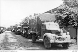 witw t75 trucks.jpg