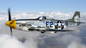 witw T90 p-51-mustang.jpg