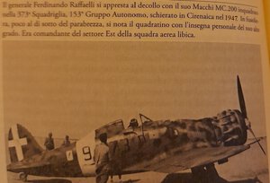 Raffaelli.jpg