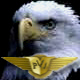 PVI_Eagle