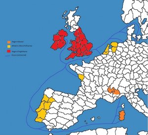 Ingli1.jpg