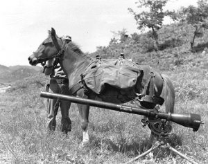 Sgt-Reckless-with-recoilless-rifle.jpg