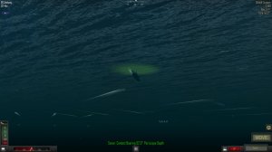 TORPEDOES WEB UNDERWATER.JPG